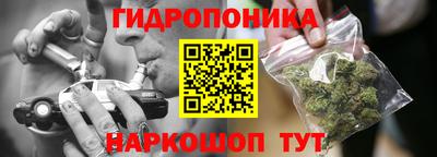 шишки Краснокаменск